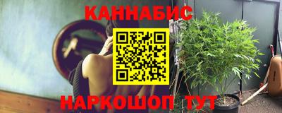 мяу мяу мука Гусь-Хрустальный