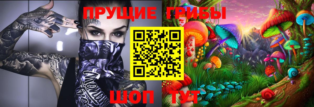 Псилоцибиновые грибы GOLDEN TEACHER Владивосток